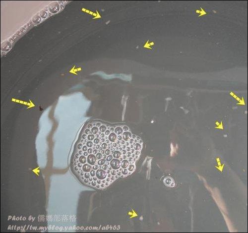 Sharer 分享+ - 分享文章 - 衣服真的洗乾净了?